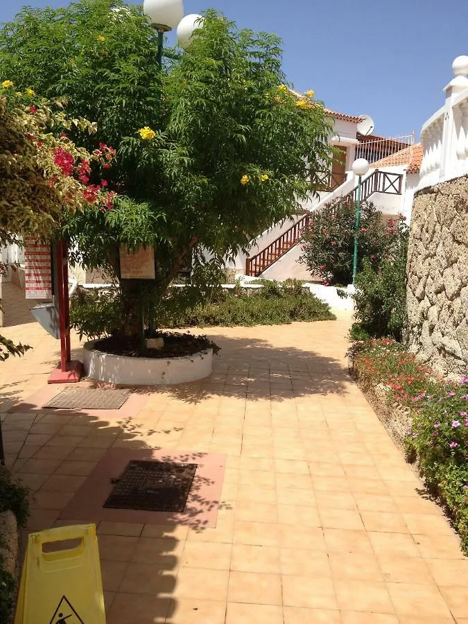 Apartment Paraiso Royal Dany & Pina Playa de las Americas  Spain